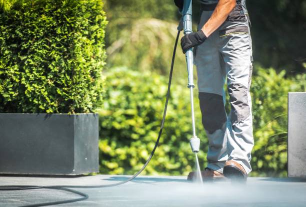 Best Graffiti Removal  in Kathleen, FL
