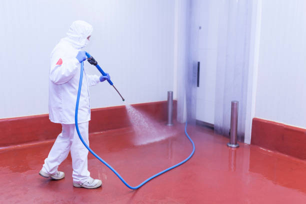 Trusted Kathleen, FL Pressure Washing Services Experts