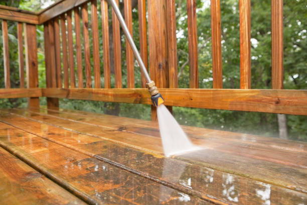 Best Animal Enclosure Cleaning  in Kathleen, FL